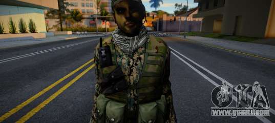 U.S. Soldier from Battlefield 2 v6 for GTA San Andreas