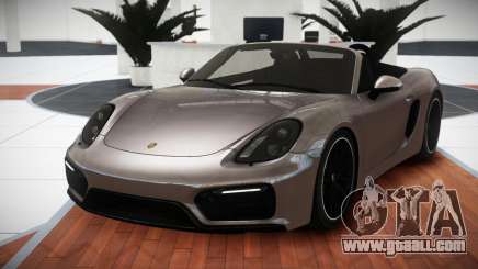 Porsche Boxster GT-S RS for GTA 4