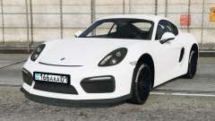 Porsche Cayman GT4 Gallery [Add-On] for GTA 5