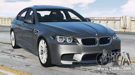 BMW M5 Cape Cod [Replace] for GTA 5