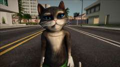 Kitty Softpaw from Dream All-Star Kart Racing for GTA San Andreas