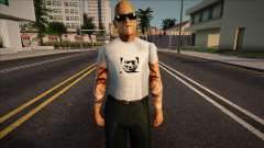 Todd Woo v4 for GTA San Andreas