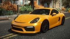 Porsche Cayman Lasgoz
