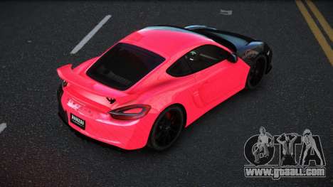 Porsche Cayman Riley S7 for GTA 4