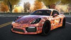 Porsche Cayman Riley S14