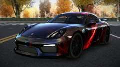 Porsche Cayman Riley S13