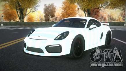 Porsche Cayman Riley S8 for GTA 4