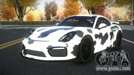 Porsche Cayman Riley S4 for GTA 4