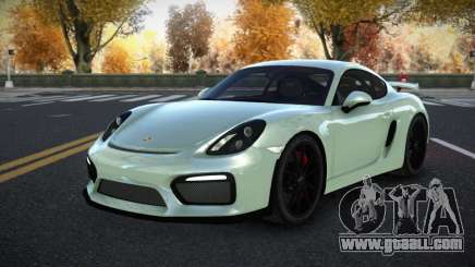 Porsche Cayman Riley for GTA 4