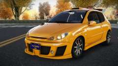 Peugeot 206 Bizjuv