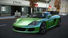 Porsche Carrera GT Wayegunu for GTA 4