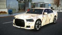 Dodge Charger Caber S8 for GTA 4