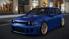 Volkswagen Golf Wasus