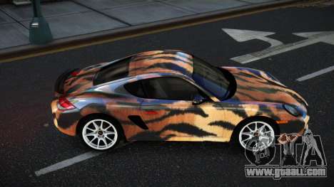 Porsche Cayman Anilca S10 for GTA 4