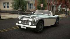 Austin-Healey 100 Wozlehap for GTA 4