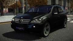 Mercedes-Benz ML 500 Buzajig