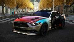 Ford Mustang Tyrtma S14