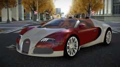 Bugatti Veyron Hiwowibok