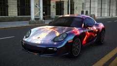 Porsche Cayman Onyxan S10