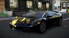 Lamborghini Gallardo Sadrel S10