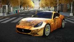 Ferrari California Patlyn S11