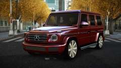 Mercedes-Benz G350 Ceguz for GTA 4