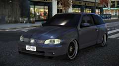 Seat Ibiza Bayquz