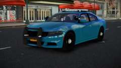 Dodge Charger Dondaw
