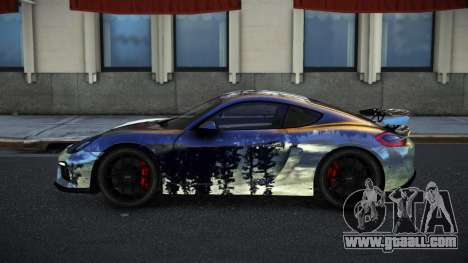Porsche Cayman GT Reerke S4 for GTA 4