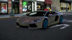 Lamborghini Aventador Ricwema