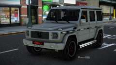 Mercedes-Benz G55 AMG Juuco